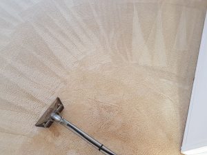 Beige Carpets being cleaned by Who Who Carpet Cleaning and Pest Management- Carpet Cleaning Brisbane 
