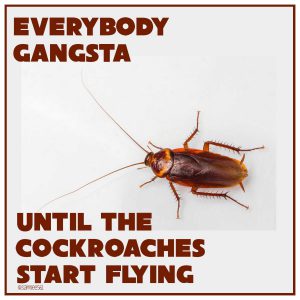Meme saying everybody gangsta until the cockroaches start flying 
