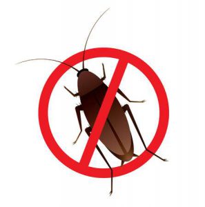 Stop sign fgon cockroach illustration- Pest control in brisbane 