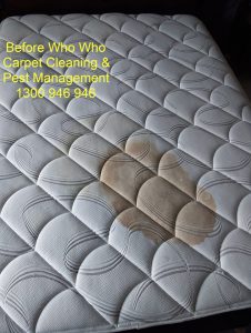 White Mattress with brown Stain - Who Who Carpet Cleaning