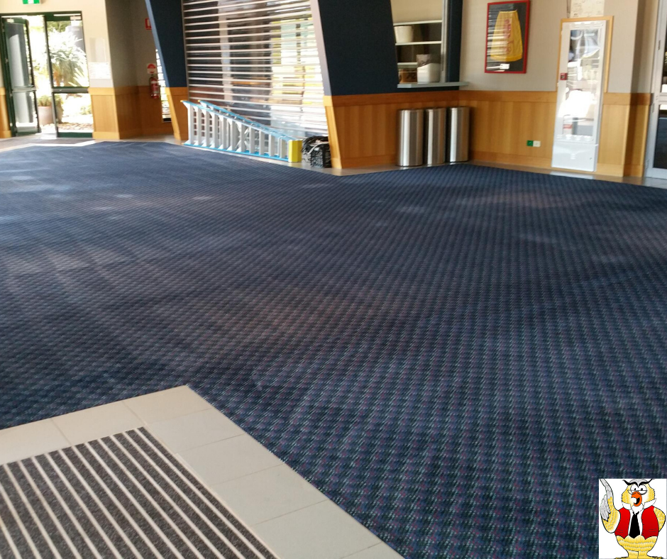 Commercial Carpet Cleaning in brisbane