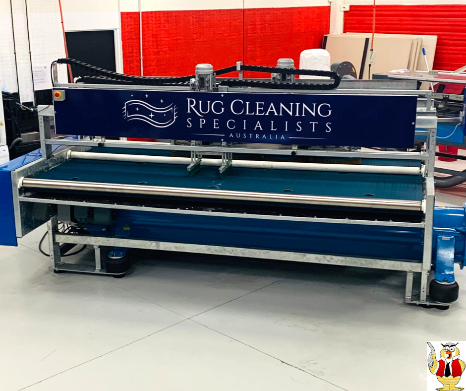 Rug Washing Brisbane Who Who Who Who Carpet Cleaning