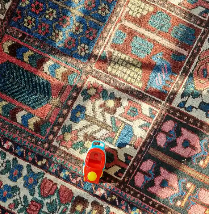 rug Multi-Colored Rug with Sunlight