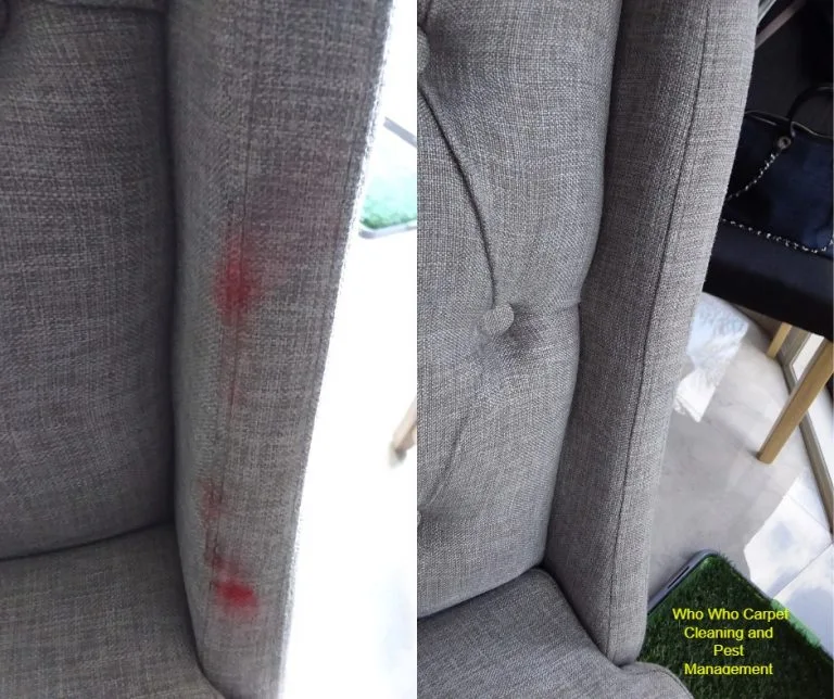 stained stained before vs after